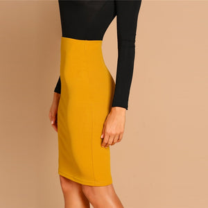 Ginger Pencil Bodycon Skirt